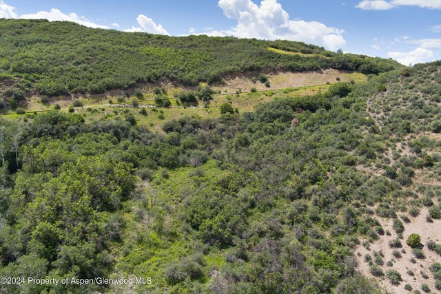 TBD Medicine Bow Rd, Aspen, CO 81611 - photo 15
