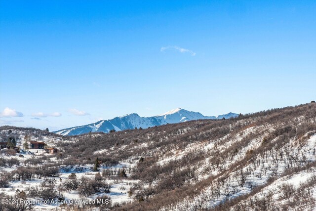 TBD Medicine Bow Rd, Aspen, CO 81611 - photo 28