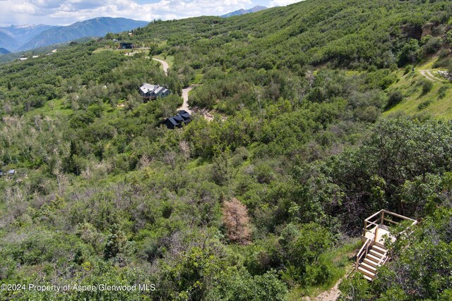 TBD Medicine Bow Rd, Aspen, CO 81611 - photo 13