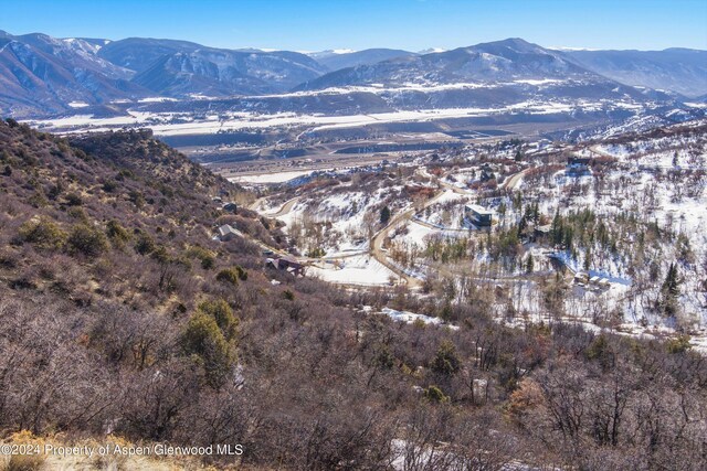TBD Medicine Bow Rd, Aspen, CO 81611 - photo 39