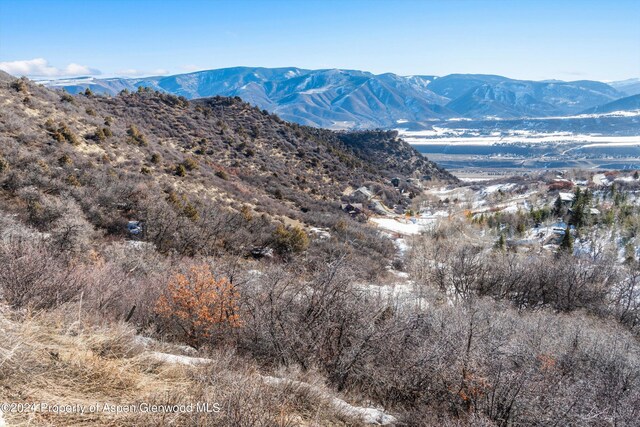 TBD Medicine Bow Rd, Aspen, CO 81611 - photo 34