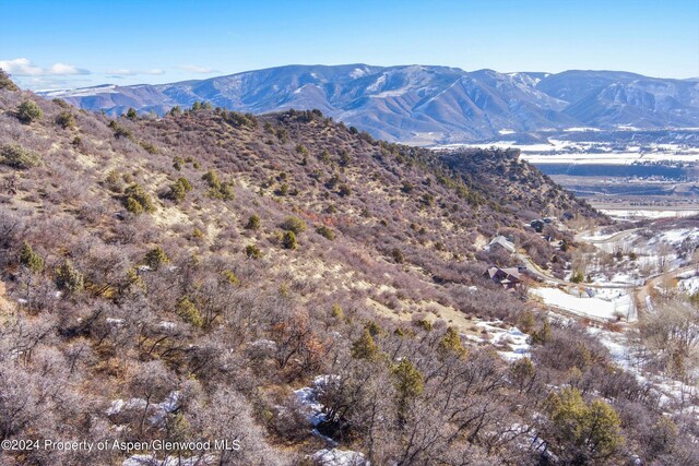 TBD Medicine Bow Rd, Aspen, CO 81611 - photo 31