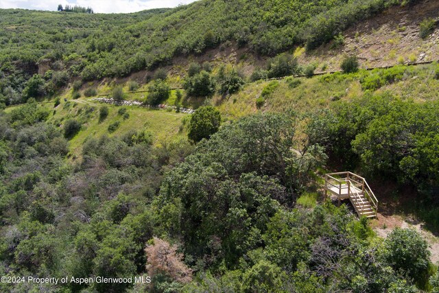 TBD Medicine Bow Rd, Aspen, CO 81611 - photo 14