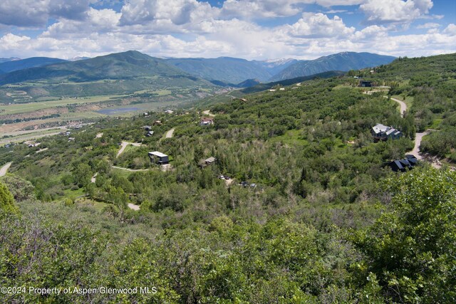 TBD Medicine Bow Rd, Aspen, CO 81611 - photo 18
