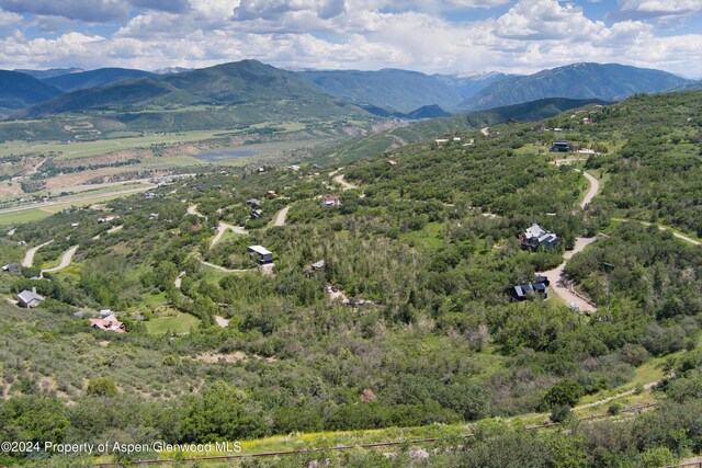 TBD Medicine Bow Rd, Aspen, CO 81611 - photo 17