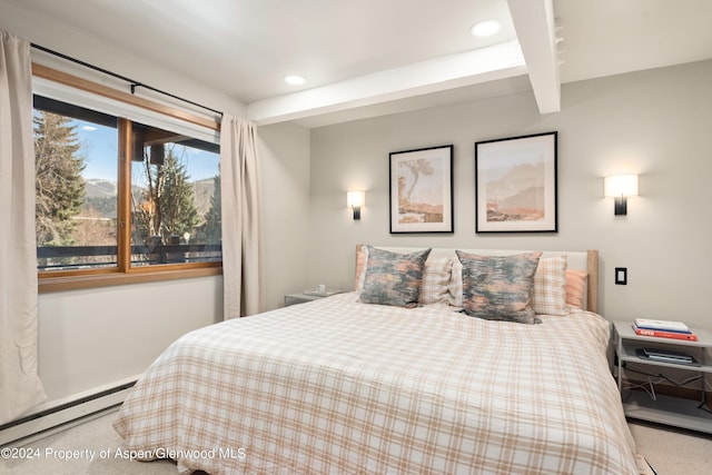 131 E Durant Ave Unit 208, Aspen, CO 81611 - photo 9