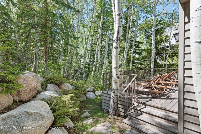 view of yard with a wooden deck