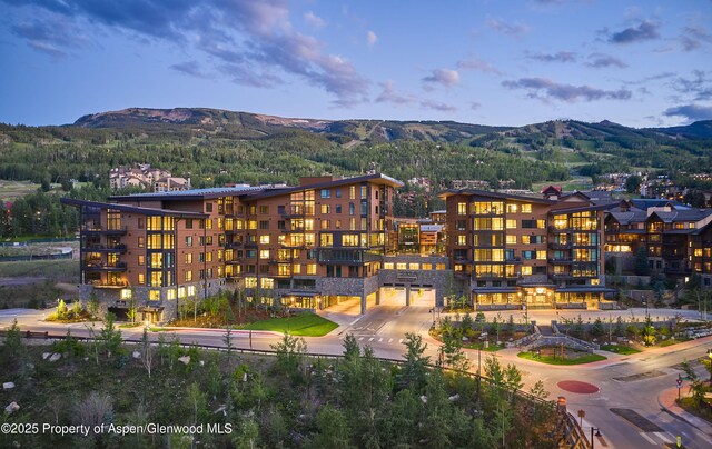 77 Wood Rd Unit 306-10, Snowmass Village, CO 81615 - photo 6
