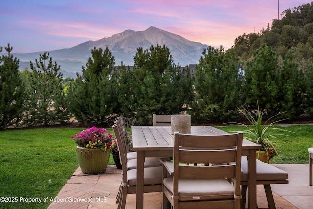 103 Bowles Dr, Carbondale, CO 81623 - photo 6
