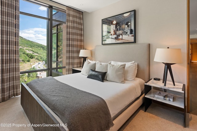 45 Wood Rd Unit 501, Snowmass Village, CO 81615 - photo 25