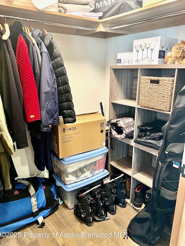 walk in closet featuring wood finished floors