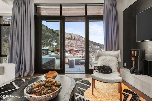 living area featuring wood finished floors and a mountain view