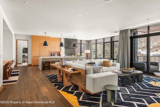 living room featuring a wall of windows and dark wood-type flooring