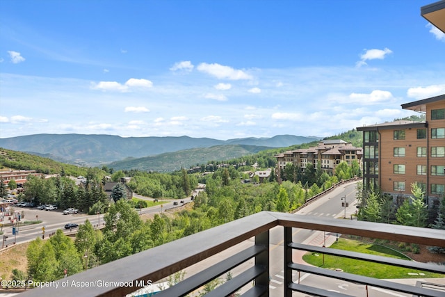 45 Wood Rd Unit 501, Snowmass Village, CO 81615 - photo 11