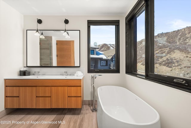 full bath featuring wood finished floors, double vanity, a freestanding tub, a sink, and a mountain view