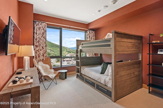 45 Wood Rd Unit 501, Snowmass Village, CO 81615 - photo 31