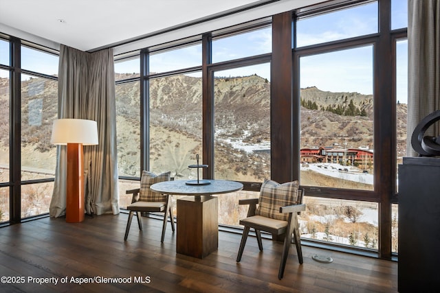 sunroom featuring a wealth of natural light and a mountain view