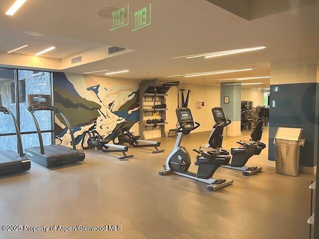 45 Wood Rd Unit 501, Snowmass Village, CO 81615 - photo 38