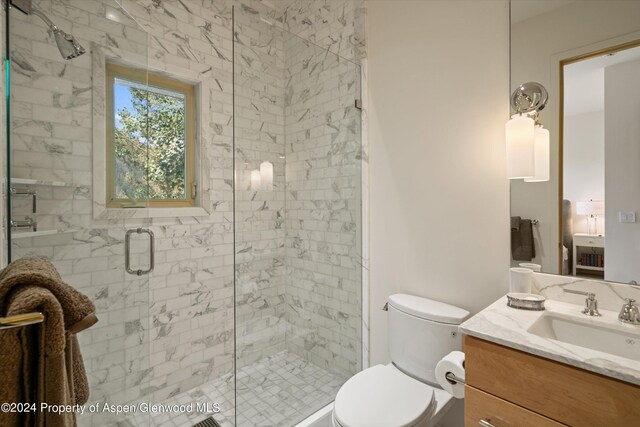 250 Mountain Laurel Dr Unit B, Aspen, CO 81611 - full bathroom with vanity, toilet, and a stall shower