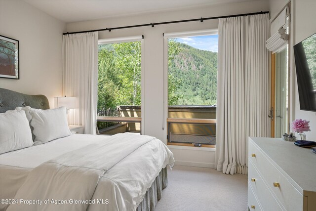 250 Mountain Laurel Dr Unit B, Aspen, CO 81611 - bedroom with light carpet