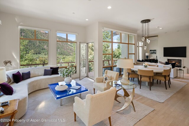 250 Mountain Laurel Dr Unit B, Aspen, CO 81611 - living area with a glass covered fireplace, light wood-type flooring, and recessed lighting