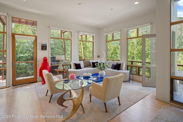 250 Mountain Laurel Dr Unit B, Aspen, CO 81611 - living area with light wood-style flooring and recessed lighting