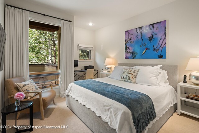 250 Mountain Laurel Dr Unit B, Aspen, CO 81611 - bedroom featuring carpet flooring and recessed lighting