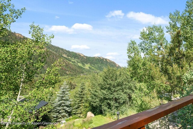 250 Mountain Laurel Dr Unit B, Aspen, CO 81611 - mountain view featuring a heavily wooded area
