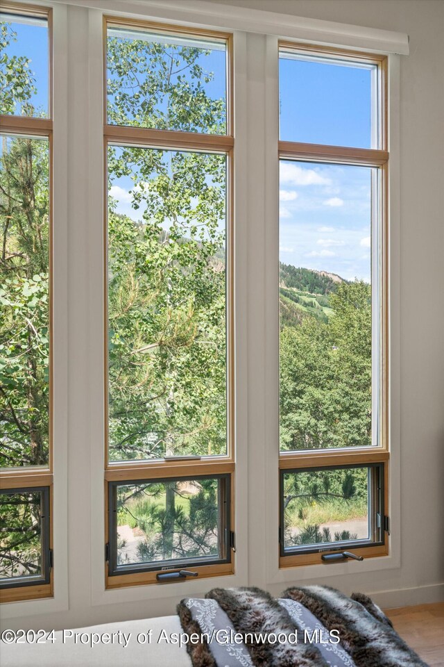 250 Mountain Laurel Dr Unit B, Aspen, CO 81611 - detailed view