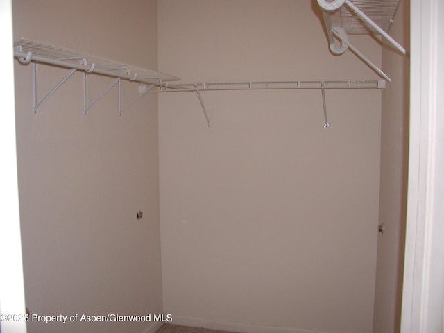 2701 Midland Ave Unit 0511, Glenwood Springs, CO 81601 - view of walk in closet