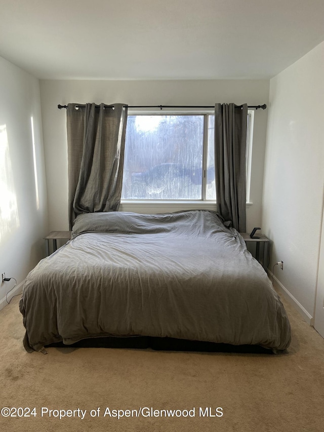 bedroom featuring carpet