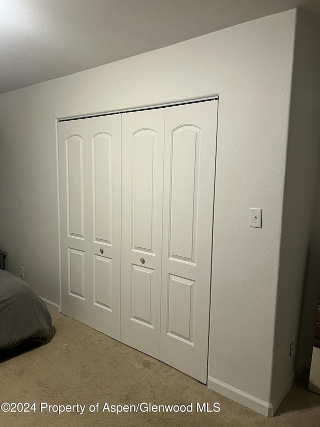 unfurnished bedroom with light colored carpet and a closet