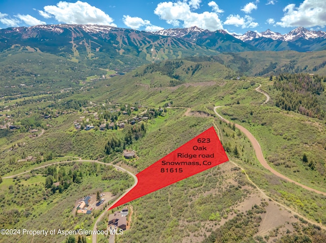 aerial view with a mountain view