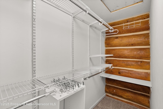 1116 Walz Ave, Glenwood Springs, CO 81601 - view of walk in closet