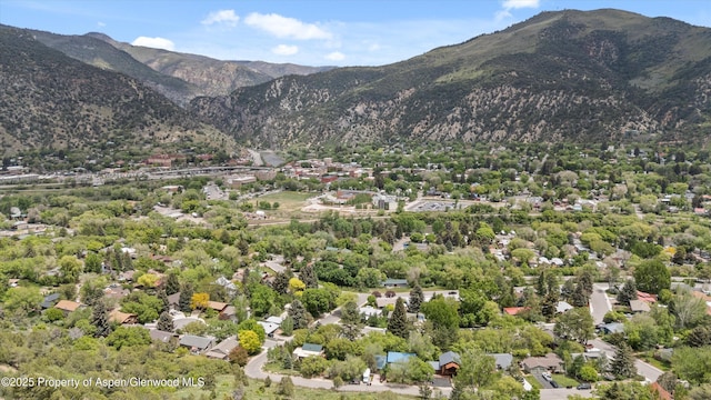 1116 Walz Ave, Glenwood Springs, CO 81601 - view of mountain background