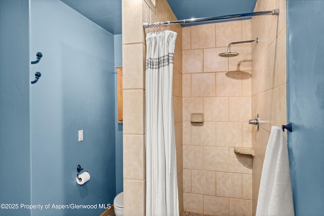 1116 Walz Ave, Glenwood Springs, CO 81601 - bathroom with a tile shower and toilet