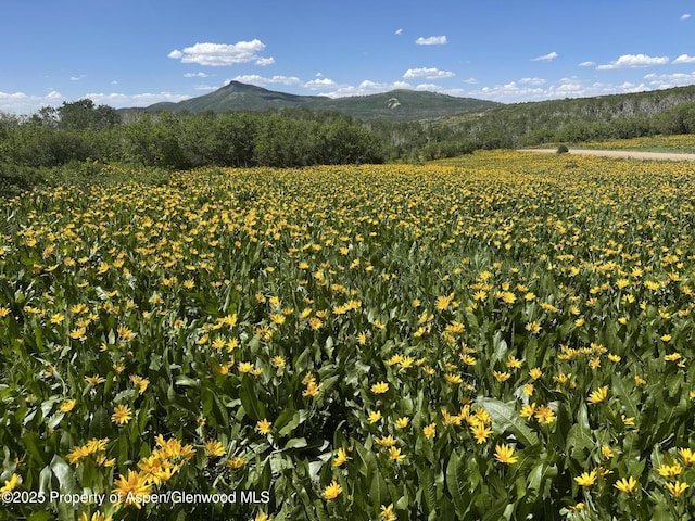2025 Timberlane Dr, Craig, CO 81625 - view of mountain backdrop with rows of crops
