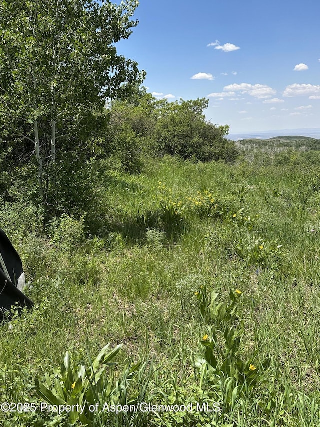 2025 Timberlane Dr, Craig, CO 81625 - view of nature