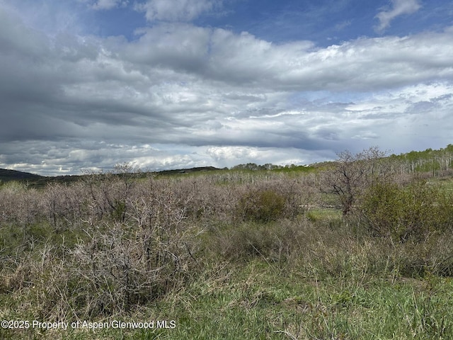 2025 Timberlane Dr, Craig, CO 81625 - view of undeveloped land