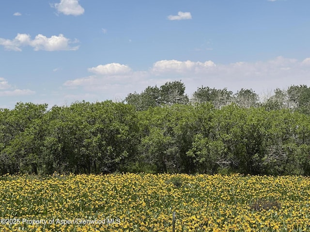2025 Timberlane Dr, Craig, CO 81625 - view of nature