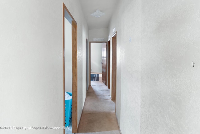 hall with light colored carpet