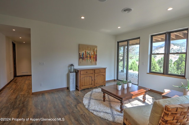 living room featuring dark hardwood / wood-style flooring