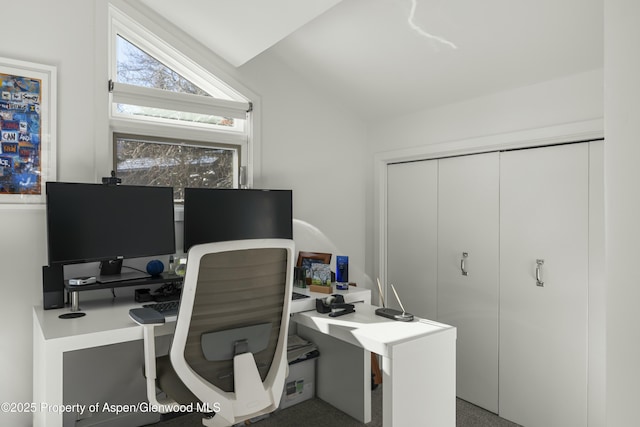 office space featuring vaulted ceiling