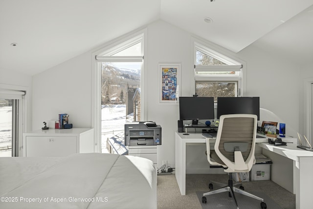 bedroom with lofted ceiling and light carpet