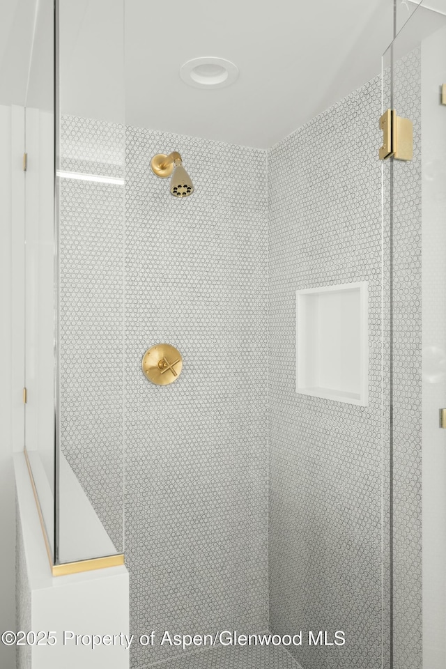 room details with tiled shower