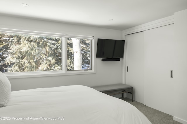 carpeted bedroom featuring a closet