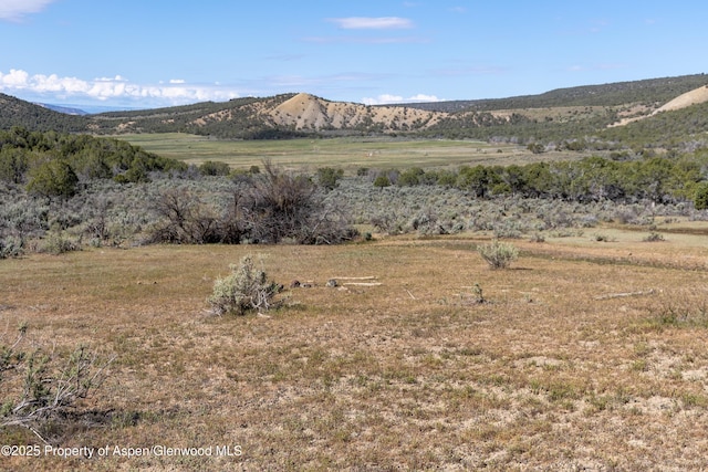 TBD Mystic Mesa Rd, Hotchkiss, CO 81419