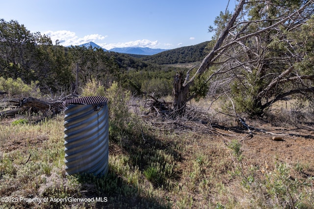 TBD Mystic Mesa Rd, Hotchkiss, CO 81419