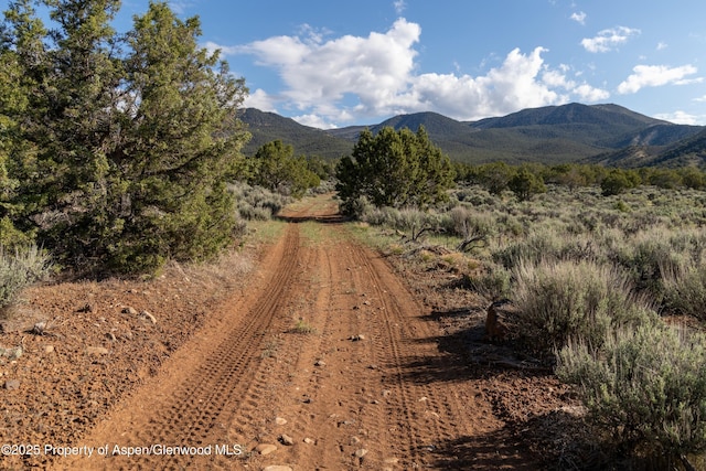 TBD Mystic Mesa Rd, Hotchkiss, CO 81419
