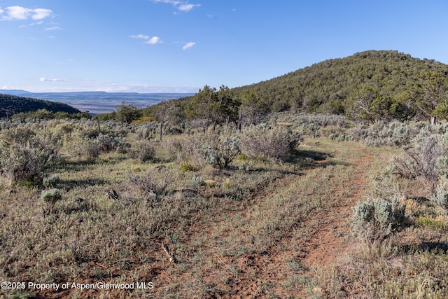 TBD Mystic Mesa Rd, Hotchkiss, CO 81419